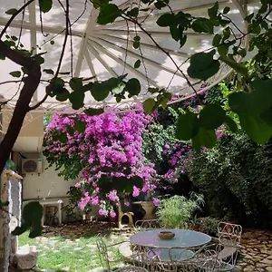 Vatican Fairytale Garden Rome